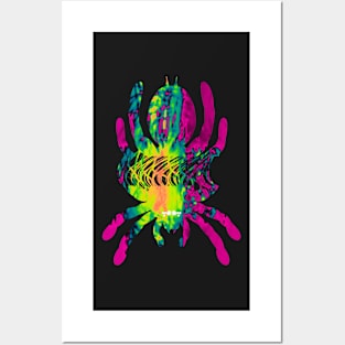 Tarantula Silhouette V25 (Tie Dye) Posters and Art